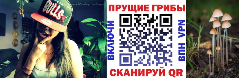 Псилоцибиновые грибы Magic Shrooms  Горбатов 